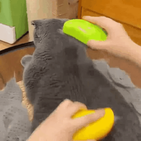 Spazzola a Vapore PRO - Rinfresca il tuo amico Pelosetto e di Addio ai peli per casa !